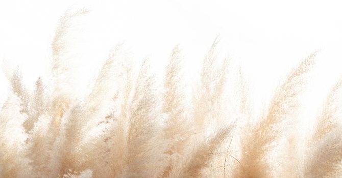 Initial Consultations for Women