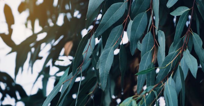 Initial Consultations for Women